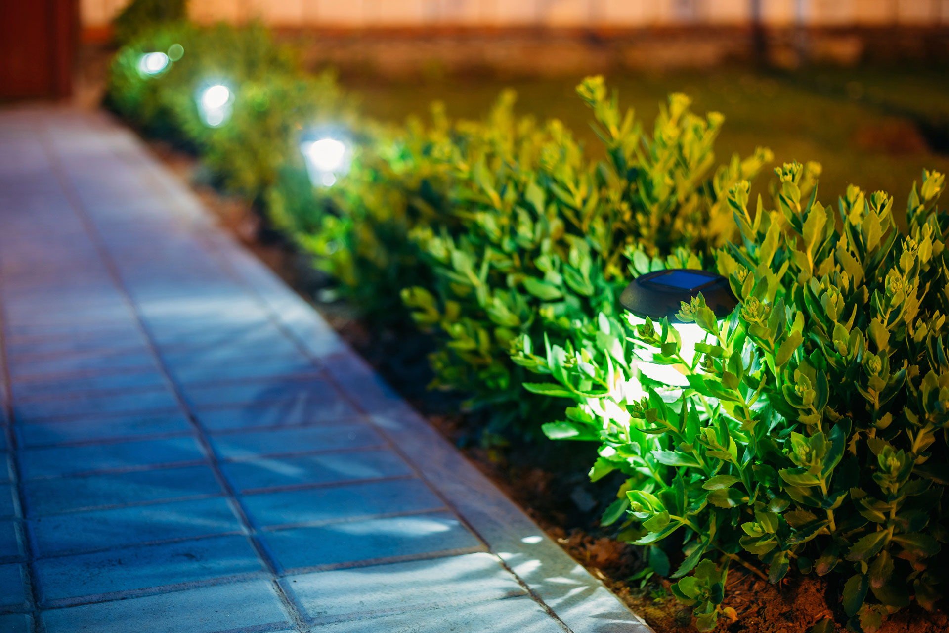 Iluminação de Jardins