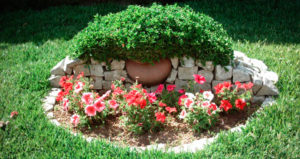 Arranjos Decorativos com Pedra
