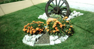 Arranjos Decorativos