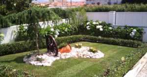 Arranjos Decorativos