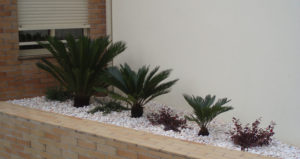 Arranjos Decorativos