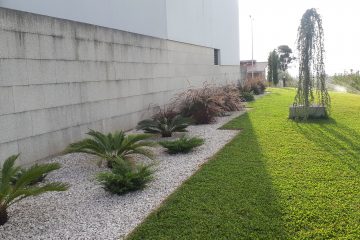 Arranjos Decorativos